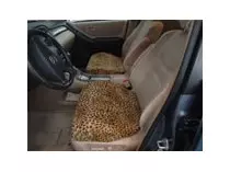 Leopard Pattern (PAIR)